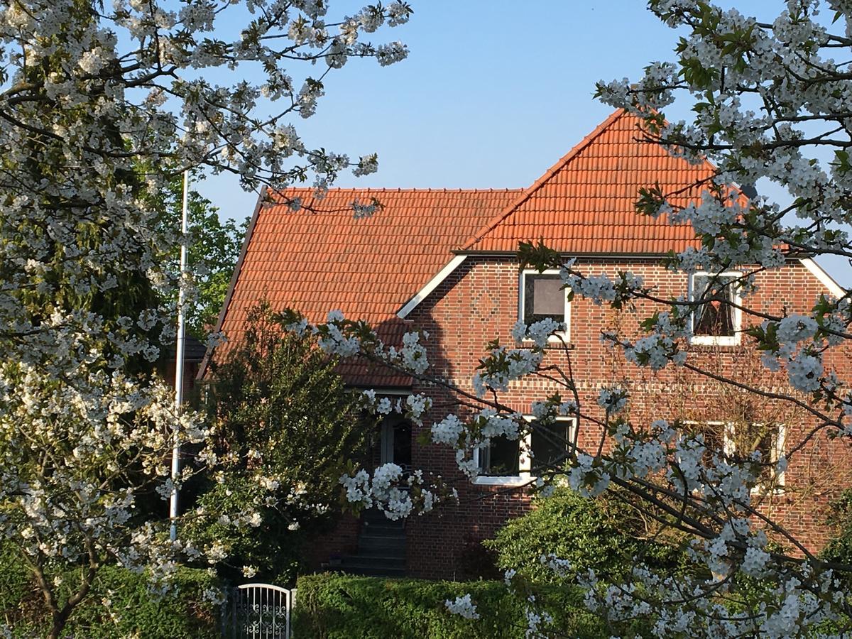 Ferienwohnung Gosch Am Luehedeich Grünendeich Extérieur photo